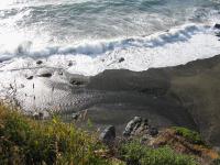 link to image juan_creek_beach_from_cliff_at_south_img_1100.jpg